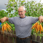 John Keatings Carrots
