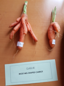 Most mis-shapen carrot