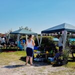 Plant Sale at Fun Day 2019